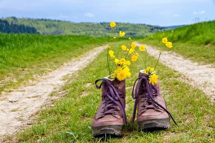 Pension Deimel هالنغبرغ المظهر الخارجي الصورة